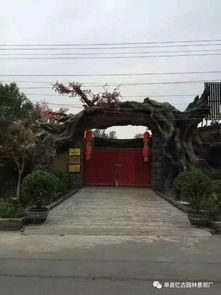 鹤壁景观古树大门施工与工程技术咨询服务
